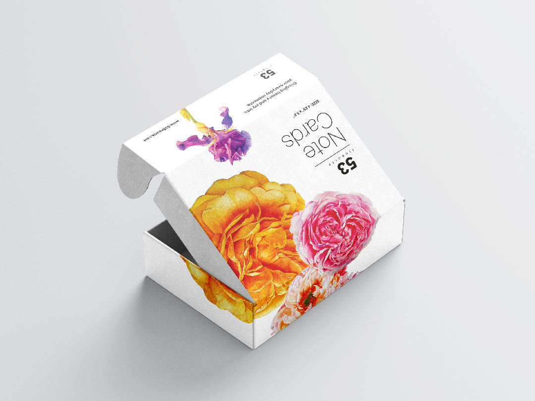 Packaging design for Fine Arts products