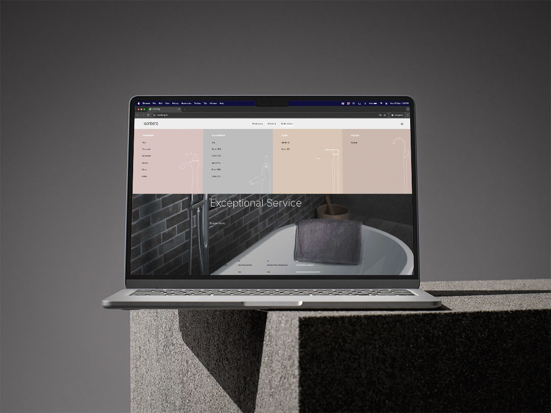 Website design and development for Isenberg