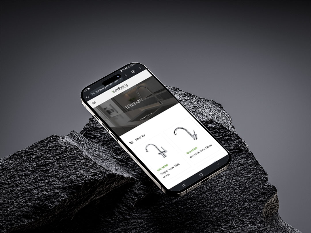 Website design and development for Isenberg